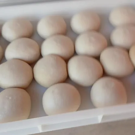 Villa Cascina Del Merlo Gavi