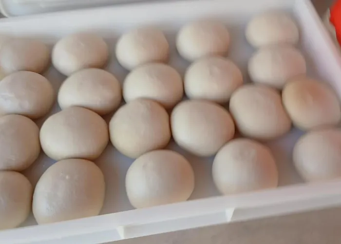 Vila Cascina Del Merlo Gavi